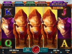 Big Wild Buffalo